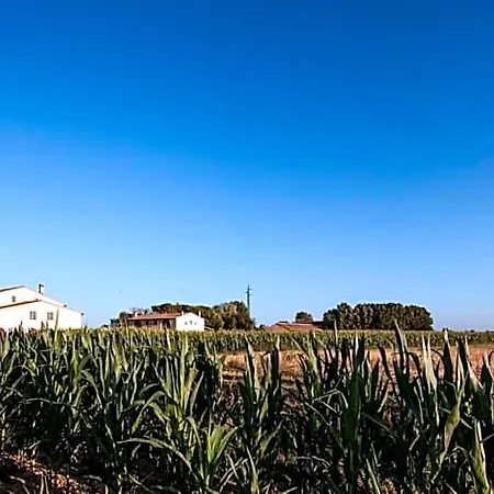 Cascina Canova